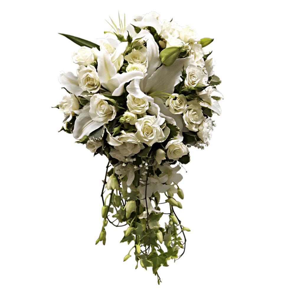 Sentimental Bride