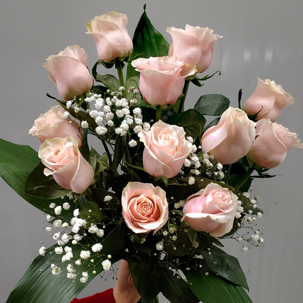 Dozen Light Pink Roses