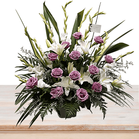 White/Purple