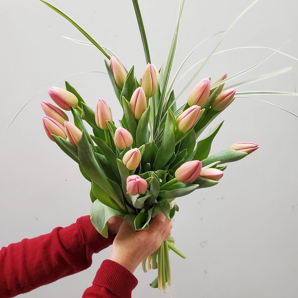 Light Pink tulips